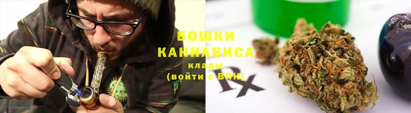 ГАЛЛЮЦИНОГЕННЫЕ ГРИБЫ Арсеньев